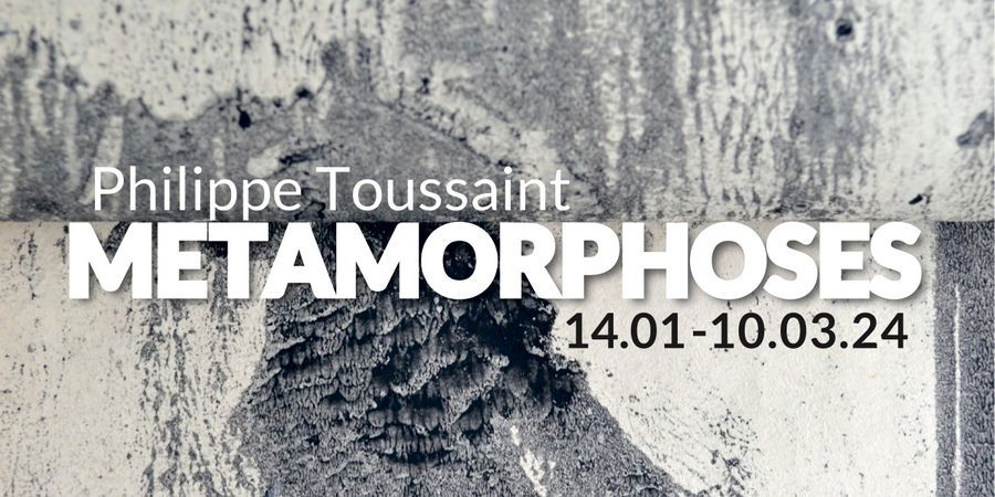 image - Philippe Toussaint - Métamorphoses