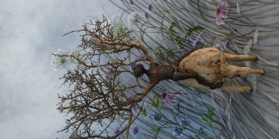 image - Sophie Collet et Ann Schoemans